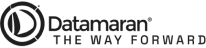 Datamaran Logo